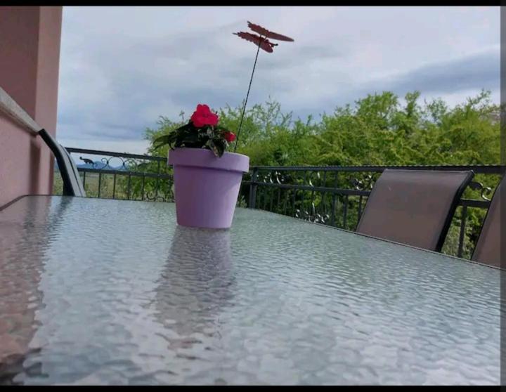 Apartman Hope Zmijavci Esterno foto